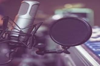 do professional soft and calm telugu voice over
