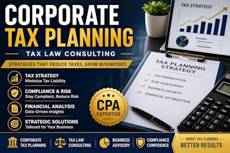 provide corporate tax planning and tax law consulting