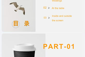 do word, PPT and excel and english chinese translation