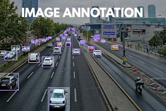 image annotation, data labeling and bounding box