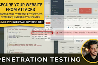 cybersecurity penetration testing for costume websites