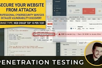 cybersecurity penetration testing for costume websites