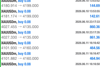 develop forex trading bot, forex bot, forex trading bot, forex trading bot