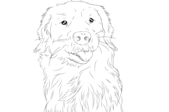 turn your pet photos into digital illustrations