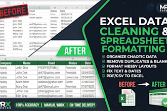 do expert excel data cleaning and spreadsheet formatting