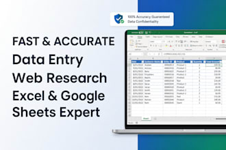 provide fast and accurate excel data entry services