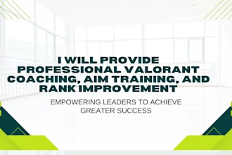 provide professional valorant coaching, aim training, and rank improvement