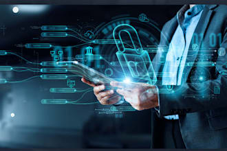 perform a professional web application security audit