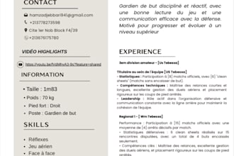 design a professional and modern CV or resume