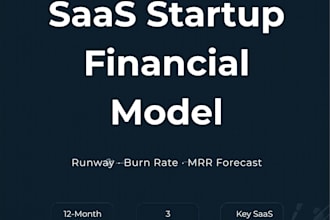 provide you a plug and play saas financial model in excel