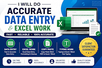 do data entry and exel work professionally