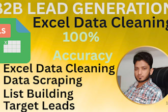 do b2b lead generation and excel data cleaning expert