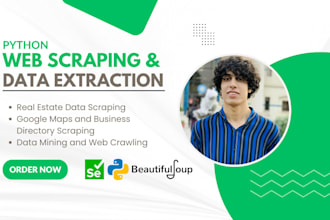 do web scraping, website scraping, web scraper in python