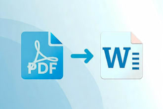 convert PDF to word and do fast typing in 3 to 5 hours