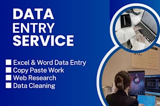 do expert data entry and web research work