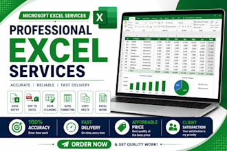 provide 100 percent accurate data entry in microsoft excel and word