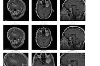 train, optimize, and deploy custom computer vision models in pytorch