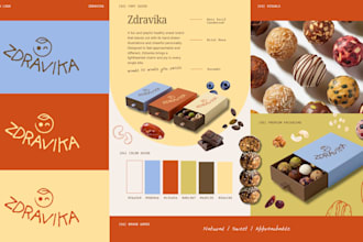 design modern brand guidelines and visual identity