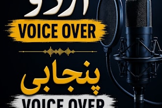be your professional urdu and punjabi