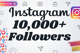 buy 1,000 instagram followers fast