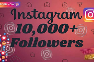 professionally grow your instagram account followers