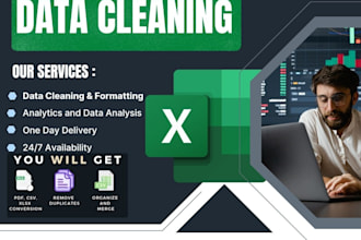 do excel data cleaning and formatting professionally