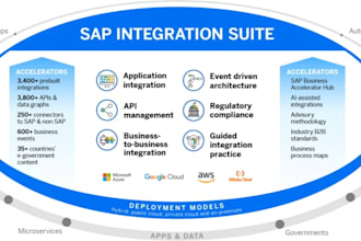 support and guide, choosing  and developing sap integrations