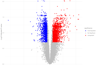 perform rnaseq dge and transcriptomic data analysis using r and deseq2