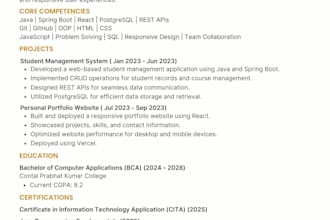 design a professional ats friendly resume