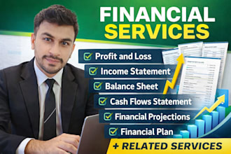 be your financial consultant, which help to prepare financials and bookkeeping