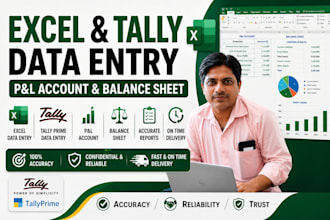 do excel and tally data entry, p,l and balance sheet