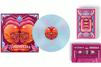 create a psychedelic illustrated album cover