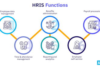 provide sap hcm support, master data and spanish legal updates