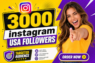 provide 3000 plus instagram followers fast