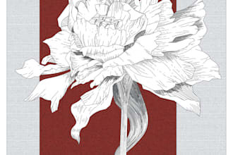 make pen and ink sketch and illustrations for you