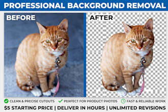 remove background from 15 product images in 4 hours