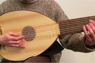 record violin, viola, fiddle, harp, banjo, mandolin,cello, lute and double bass