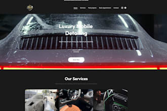 build a professional website with domain hosting and business email setup