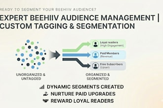fix your beehive audience segmentation and organize your subscribers