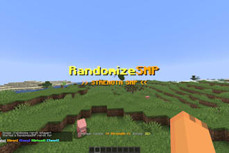 develop custom minecraft smp plugins in java