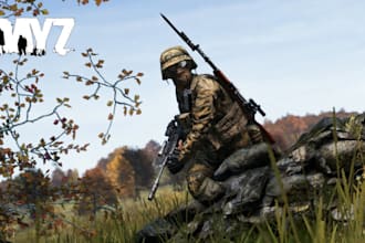 setup a dayz server with mods and script