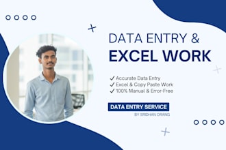 do expert data entry and excel work