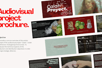 design a professional powepoint presentation or pitch deck