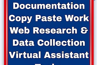 do professional data entry and copy paste work