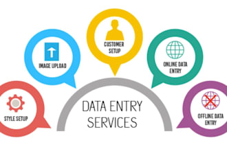 do a fast and accurate data entry data mining data copy and paste big data