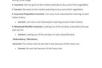 professionally proofread and edit english grammar and translation
