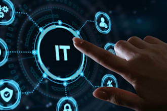 provide expert remote IT support