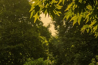 edit your photos for instagram aesthetic and professional look