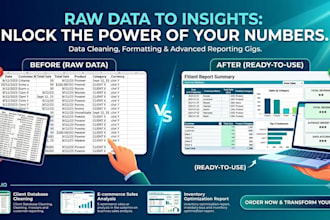 transform raw e commerce data into excel reports
