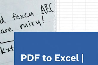 do accurate data entry ms excel and word typing work